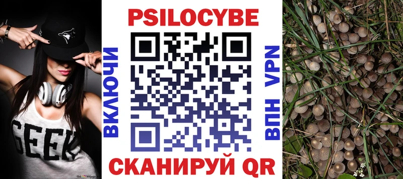 купить наркотики сайты  Озёры  Галлюциногенные грибы мухоморы 